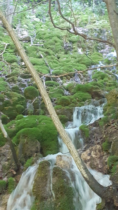 3.6.2023 Krížna – foto 5