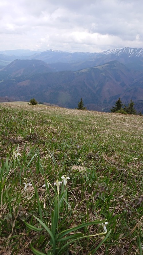 6.5.2023 Donovaly – Liptovská Osada – foto 8