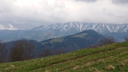 Panoráma Nízkych Tatier