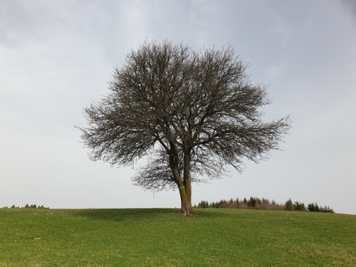30.3.2024 Ponická Lehôtka – Slovenská Ľupča – foto 4