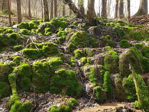 30.3.2024 Ponická Lehôtka – Slovenská Ľupča – foto 12