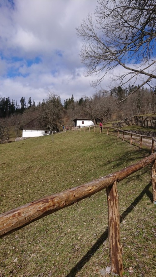 Kalište