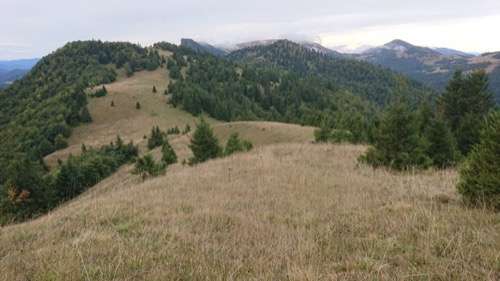 Pohľad smerom na juh