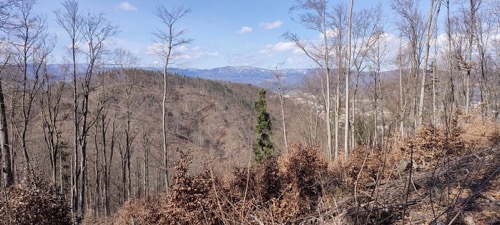 26.3.2024 Stará kopa – foto 2
