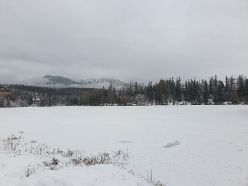 Zamrznuté Štrbské pleso