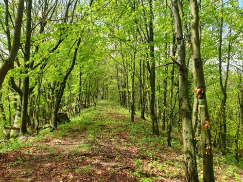20.4.2024 Kozelník – Podhorie – foto 12