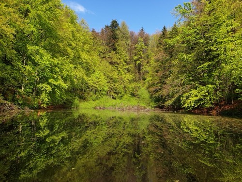Žakýlske pleso je jediným prírodným plesom v Štiavnických vrchoch.