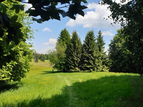 Nad Hornými Pršanmi