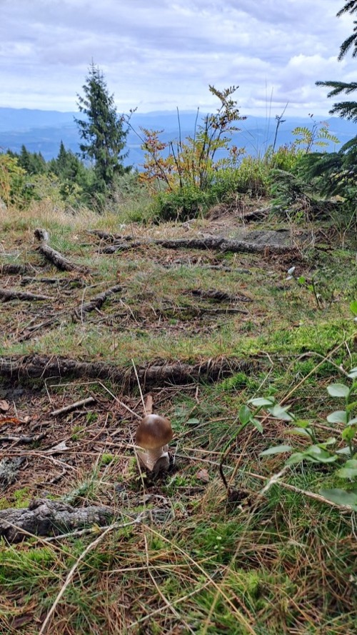 28.9.2025 Lom nad Rimavicou – Poľana – Skliarovo – foto 18