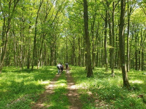 Príjemná turistika okrajom Silickej planiny