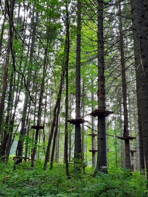 Lezecký park v tesnej blízkosti chodníka