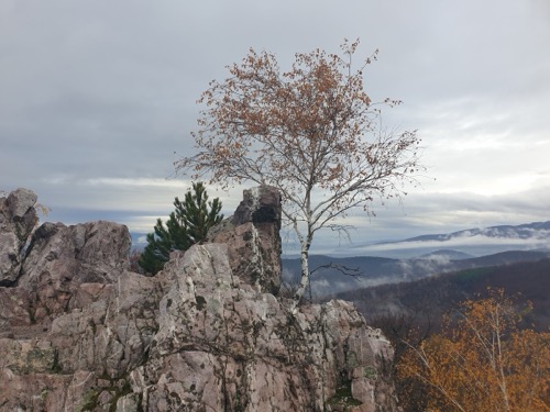 Oselný vrch (632 m n. m.)