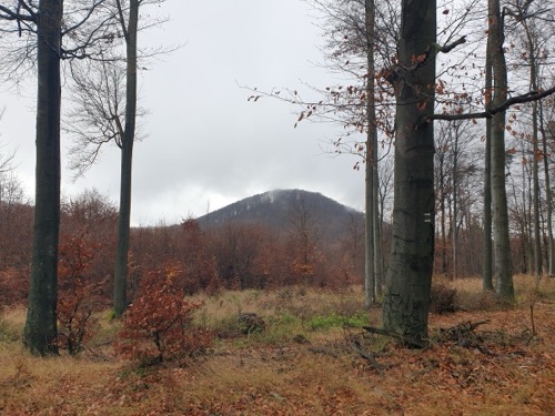 Pohľad na Veľkú Ostrú (747 m n. m.)