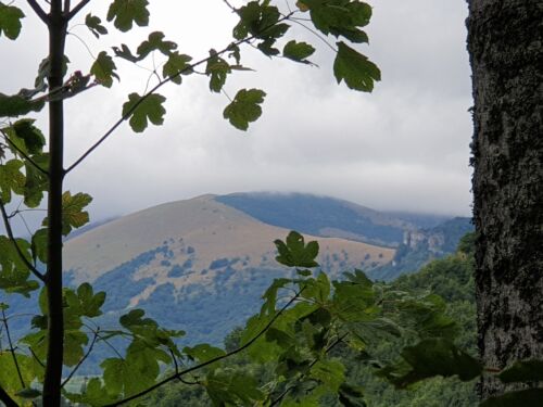 Výhľad na Krížnu a Majerovu skalu