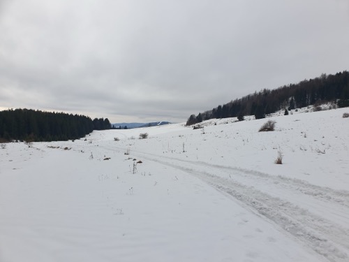 V otvorenom teréne na lúkach to bolo o poznanie lepšie.