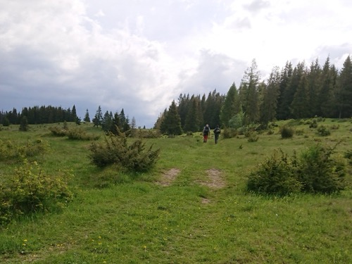 30.5.2026 Stolica – foto 1