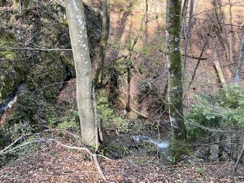 18.4.2026 Tajov – Suchý vrch – Banská Bystrica, Tulská – foto 4