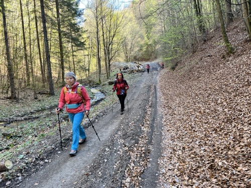 18.4.2026 Tajov – Suchý vrch – Banská Bystrica, Tulská – foto 5